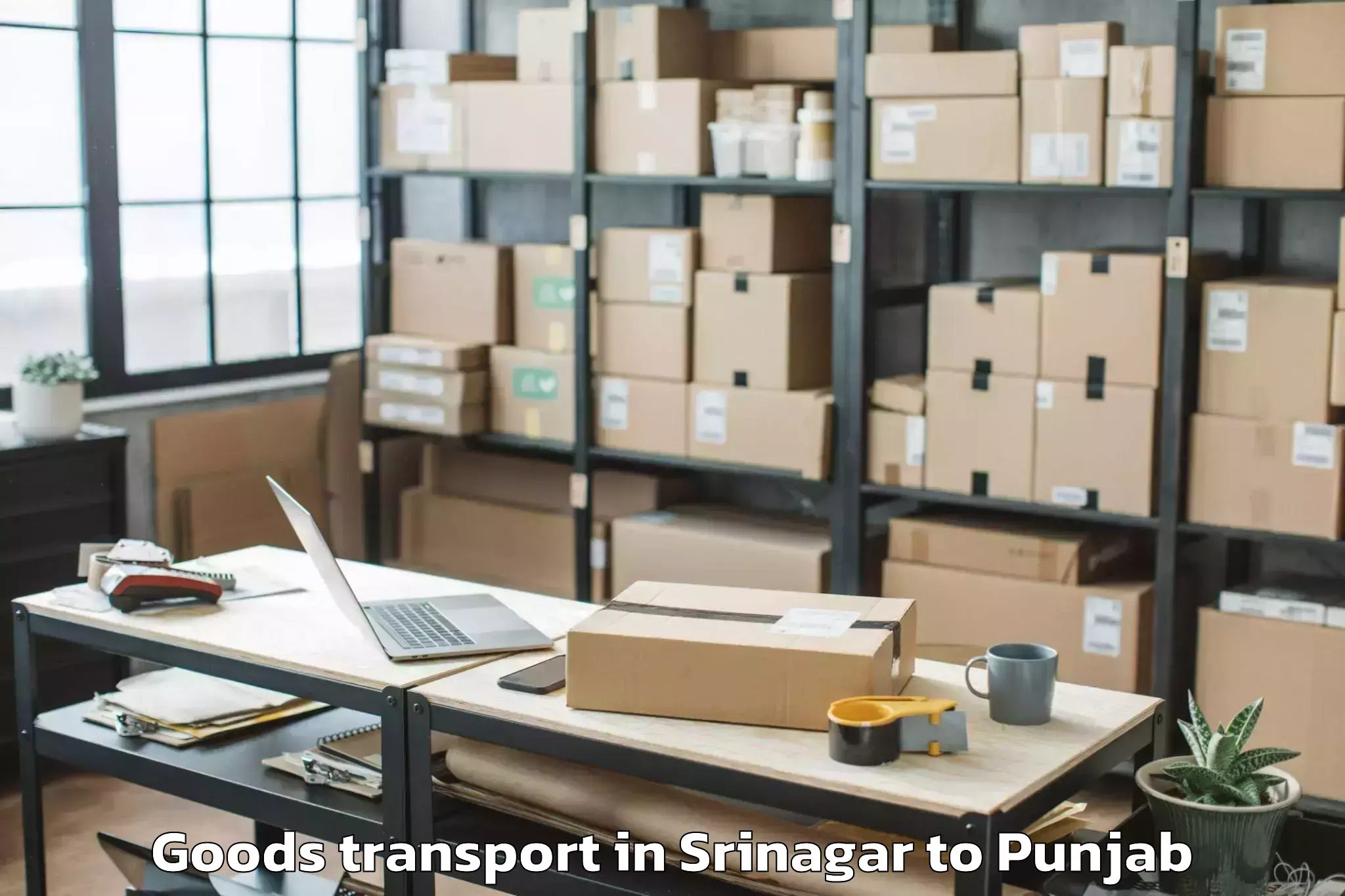 Get Srinagar to Banga Goods Transport